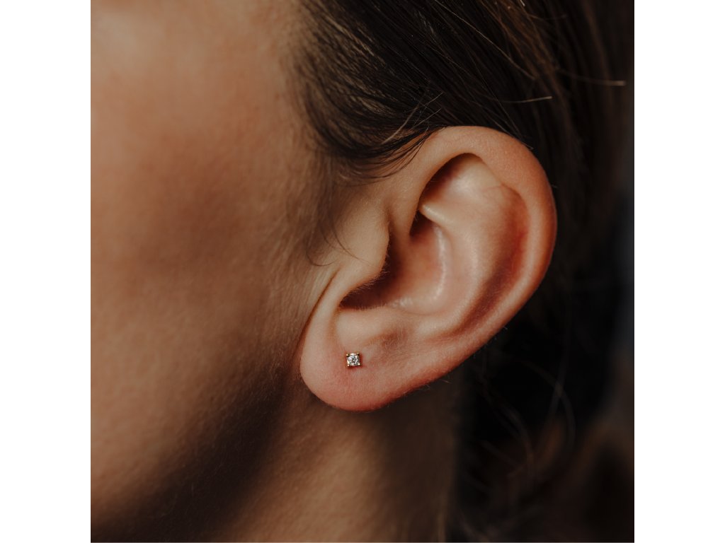 diamantove-nausnice-briliant2